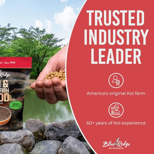 Blue Ridge Koi Fish Food 5lb - Koi Food Large 3/16" Growth Formula, Goldfish Food, Premium Fish Food for Ponds, Ponds Fish Food, Floating Pond Pellets - size: 5 Pound (Pack of 1)