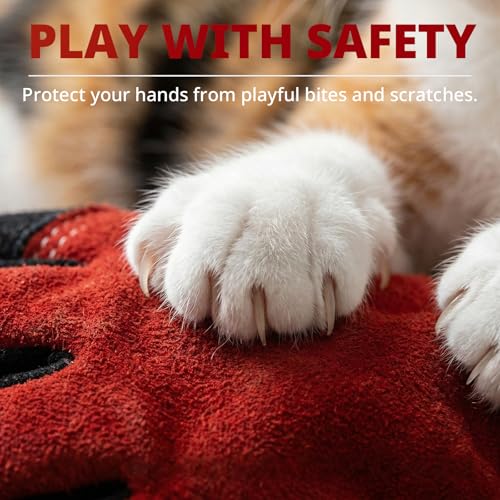 vclpower Animal Handling Gloves Size M Fit for Women & Small Hands Bite Proof Double Leather Reinforced Padding Dog,Cat Scratch,Bird Handling Falconry Gloves Grabbing Reptile Squirrel Snake Bite 16in | Size M Fit for Women & Small Hands - size: M