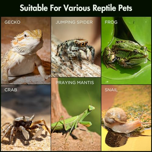 Pre-Assembled Jumping Spider Enclosure, Acrylic Terrarium with Magnetic Door & All-Side Ventilation, Habitat for Spiderling, Mantis, Tarantula, Snail, 3.5"×3.5"×7" (Tweezer & Temp Sticker Included) - size: Small Vertical (3"×3"×7")