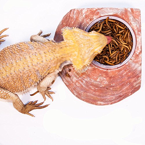 Healthy Herp Insectivore Reptile Treat Mealworms - All Natural, Nutritious Turtle Food, Bearded Dragon Tank Accessories - for Bearded Dragons, Box Turtles, Aquatic Turtles - 0.95 oz (27g)