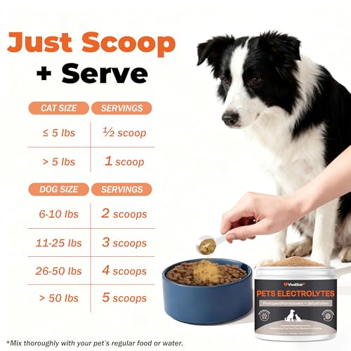 Electrolytes for Dogs – Vet-Formulated Hydration Supplement– Supports Post-Surgery & Illness Recovery– Helps Replenish Fluids & Electrolytes Lost from Diarrhea, Vomiting & Poor Appetite