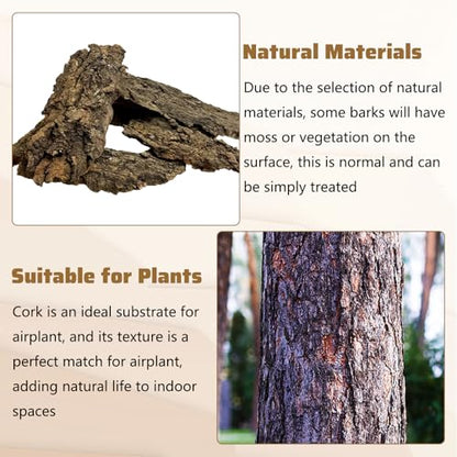 VCEPJH 2 Pack Reptile Wood Branches, Snake Climbing Branch and Cork Bark for Reptiles, 6 Pcs Natural Cork Flats for Snakes Spiders Bearded Dragons