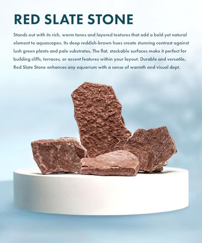 Natural Slate Stone for Aquariums, Fish Tanks, Terrariums, Aquascaping and Amphibian Enclosures, Mix of Large and Medium Size Rocks - by SubstateSource (5 Pounds, Red River)