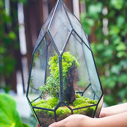 NCYP Black Glass Geometric Terrarium Container with Door - Balcony Planter DIY Display Flower Pot for Succulent Fern - Tabletop Miniature Botanical Fairy Garden (No Plants) 12.2" Height, 7.1" Width