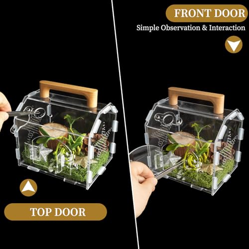 Acrylic Jumping Spider Habitat, Reptile Terrarium Easy Assembly, Bug Enclosure, Praying Mantis Habitat, Frog Enclosure (Small-6.3 * 4.7 * 6.7in) - size: Small-6.3*4.7*6.7in