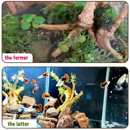 Hamiledyi 6PCS Aquarium Driftwood 6-8in Natural Spider Wood Branches Reptiles Aquarium Fish Tank Decoration Assorted - size: M:Spiderwood (6-8in 6PCS)