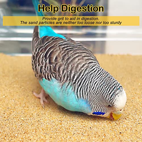 S&X Bird Cage Liners 15 x 9.5in, 30-Pack, Disposable Gravel Paper Sheets | Thick, flat gravel paper eases cage cleanup – gritty surface helps trim claws & beaks – pre-cut to fit common cage trays - size: 15" x 9.5" - 30PCS