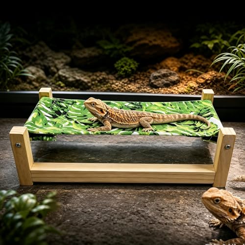 Bearded Dragon Bed, Wooden Reptile Hammock, Hanging Sleeping Lounger, Safe Natural Wood Resting Place for Lizard, Leopard Gecko, Snake, and Other Small Animals (Green, Large) - color: GREEN, size: Large