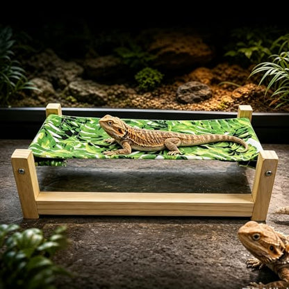 Bearded Dragon Bed, Wooden Reptile Hammock, Hanging Sleeping Lounger, Safe Natural Wood Resting Place for Lizard, Leopard Gecko, Snake, and Other Small Animals (Green, Large) - color: GREEN, size: Large