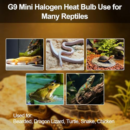 G9 25W Mini Halogen Bulb, 2 Pack, Day White Reptile Basking Light, Compact Long-Lasting Bulb for Reptile Terrariums