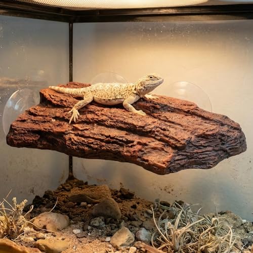 Turtle Basking Platform, Dock Resting Terrace Stone Aquarium Ornament Rock Landscaping Decoration, Climbing Ramp Shale Reptiles Dock for Small Reptile Frog Terrapin