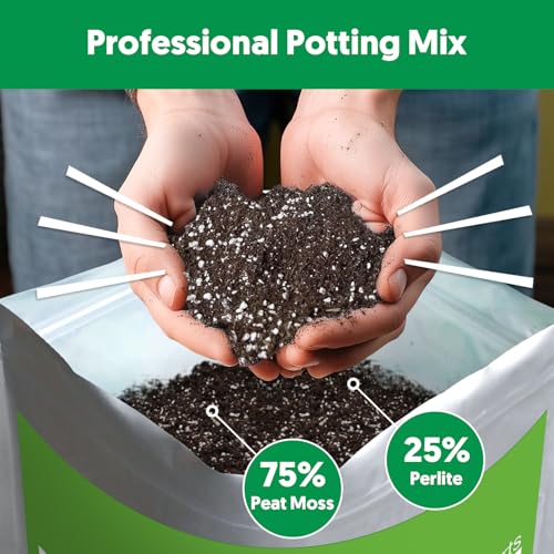 Succulent Cactus Potting Soil Mix (4 qt), All-Purpose Garden Potting Mix for Indoor Outdoor Plants, Quick Drain Houseplant Orchid Bonsai Perlite Soil, Ready-to-Use, Resealable Bag Design - size: 4 qt