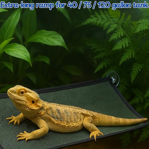 Bearded Dragon Hammock Large Tank Bed, Mesh Lounger with Suction Cups & Cable Ties, Reptile Basking Ramp/Bed, Fits Bearded Dragons & Leopard Geckos (Rectangle, 28" x 10") - color: Rectangle