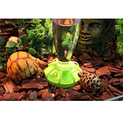 Happyyami Abs Plastic Reptile Food Tray Pet Water and Drinking Bowl Easy Cleaning Spill for Cats and Dogs