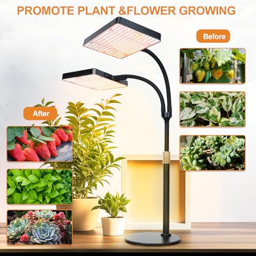 FECiDA 2026 2Head Tabletop Grow Lights for Seed Starting, Indoor Plants, Bonsai, 50 Watt Power Draw, NO Need Adapter, Super Bright and Big Coverage, 4/8/12/16/20 Hr Timer, 16"-24" Height Adjustable - size: TableTop-2Head-50W-Timer