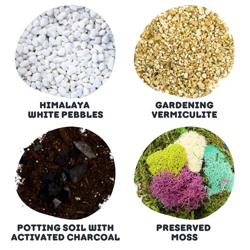 Cute Farms Terrarium Starter Kit | Moss, Vermiculite, Soil, Pebbles, Plant Food, & Finishing Tools (Large Kit + Crystals) - size: Large Kit + Crystals