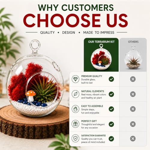Creations by Nathalie - DIY Terrarium Kit with Live Air Plant (Local & Fresh from Florida), Reindeer Moss, Figurine, Healing Crystal Chips and Sand - Handmade in USA (4" Glass Globe) - color: 4" Glass Globe