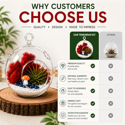 Creations by Nathalie - DIY Terrarium Kit with Live Air Plant (Local & Fresh from Florida), Reindeer Moss, Figurine, Healing Crystal Chips and Sand - Handmade in USA (4" Glass Globe) - color: 4" Glass Globe