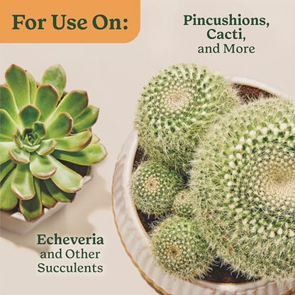 Miracle-Gro Indoor Potting Mix for Cactus and Succulent, Fast-Draining Cactus and Succulent Potting Mix with Plant Food, 8 qt. (2-Pack)