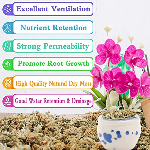Legigo 3.5oz Premium Sphagnum Moss Potting Mix & 4QT Horticultural Charcoal for Plants- Plant Soil Amendment for Planting Gardening