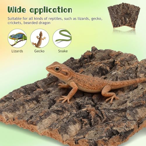 Veemoon Reptile Bark Decor 2 Pcs Natural Tree Bark Hide for Terrarium Climbing Platform for Lizard Gecko Bearded Dragon Snake 7.67 X 5.82 X 0.39 in
