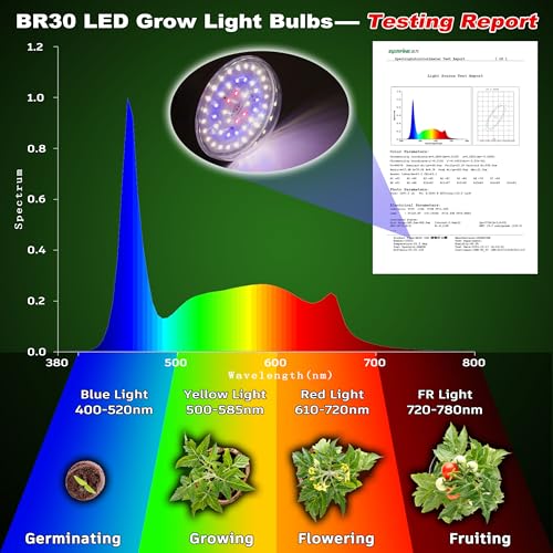 BR30 Led Grow Light Bulbs for Indoor Plants Full Spectrum,E26 BR30 Floodlight Plant Sun Grow Lamp 15W 1800lm,150-200 Watt Equivalent,Balanced Spectrum 5000K Red Blue for Seeds Greens,Flowers,1Pcs - size: BR30