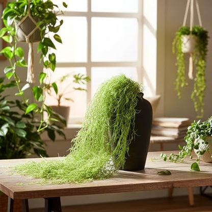 4 Pcs 33 Inch Fake Spanish Moss with 7 oz Artificial Green Moss for Potted Plants Indoor Hanging Garland Greenery Faux Vines Plants Faux Seaweed Greenery for Crafts DIY Garden Home Decor