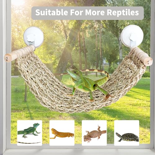 Bearded Dragon Hammock for Window, 21.6 x 7.8 in Natural Seagrass Bearded Dragon Hammock, Large Lizard Window Perch, Reptile Hammock Bed with Powerful Suction Cups for Tank Accessories