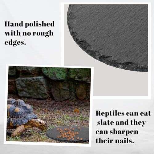Reptile Basking Platform 5.9x5.9 inch Natural Rock Food Bowl Dish Tortoise Habitat Accessories Habitat Decor for Lizard Crested Gecko Bearded Dragon Turtle Reptiles Tank