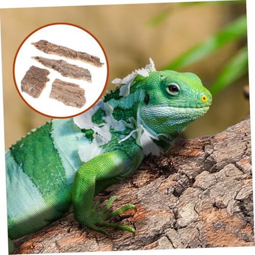 8pcs Natural Reptile Tree Bark Decor for Terrarium Safe Wear-Resistant Background for Lizard Gecko Snake Enclosures Aquatic Reptile Environments - size: 23.00X7.50X1.00CM