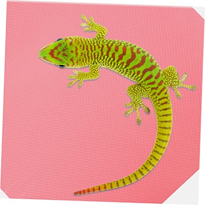 Reptile Tank Liner Nonslip Carpet for Bearded Dragon Snake Lizard Leopard Gecko Terrarium Substrate Carpet