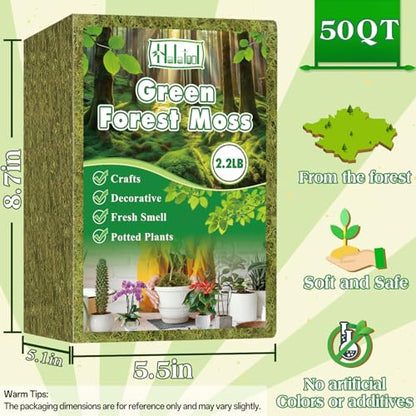 Halatool 2.2LBS Forest Green Moss for Indoor Potted Plants, Orchid Potting Mix, Indoor Potting Plant Moss for Repotting Terrariums Garden Reptiles - size: 2.2lb