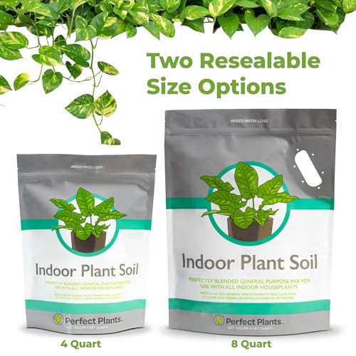 Perfect Plants Indoor Plant Soil 4qt | Perfectly Balanced Potting Mix | Gardening Substrate for All Varieties of Live houseplants - size: 4qts.