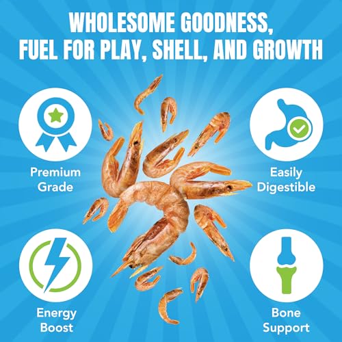 JOR Dried Shrimps for Turtle, Freeze-Dried High Protein, Low Fat Snack for Shell Growth & Energy, Easy-Chew Treat for Tropical Fish, Reptiles, Amphibians & Other Aquarium Pets, 1 oz