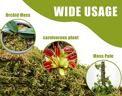 Dried Forest Moss for Plants 5.3oz / 3qt, Green Orchid Sphagnum Moss, Long Fibered Dried Moss for Succulents Garden Flowers Pot and Reptiles - size: 3qt/5.3oz