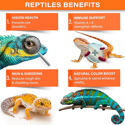 Gargeer 'Vitamin A Plus' Supplement for Reptiles | Retinyl Palmitate + Beta-Carotene | Supports Vision, Skin, Immune & Vitality | Geckos, Dragons, Tortoises, Turtles, Snakes | 3oz | Made in USA !