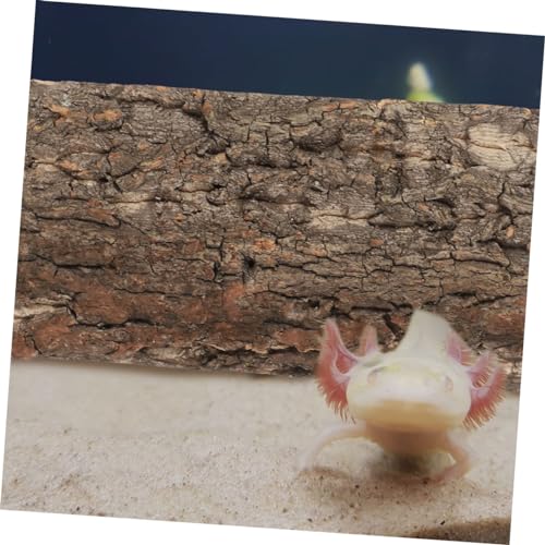 BESPORTBLE 2pcs Bark Aquarium Decor for Reptiles Safe and Wear-Resistant Terrarium Background for Fish Tanks and Reptile Habitats Each