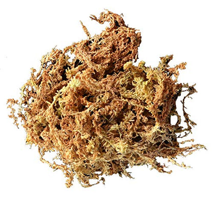Mosser Lee ML0110 Long Fibered Sphagnum Moss – 432 cu in – High Water Retention, Soil-Free Gardening, Topiary Filler, Hanging Baskets, Crafts & Decoration - style: Spagnum Moss
