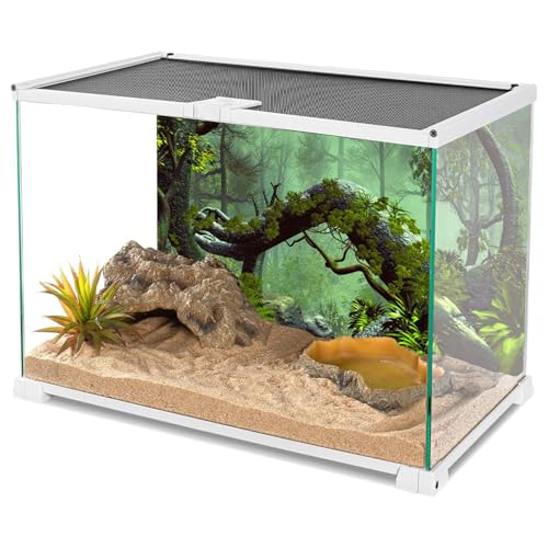 AWERT 72x16 inches Foggy Forest Terrarium Background Stone Green Tree Tropical Reptile Habitat Background Rainforest Aquarium Background Durable Polyester Background - size: 72x16in/180x40cm
