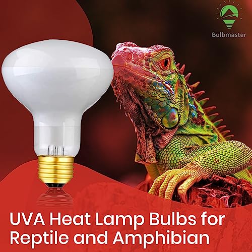 Reptile Heat Lamp Bulb 100 Watts UVA Basking Light for Reptiles and Amphibian, Basking Light for Bearded Dragon, UVA Reptile Light Bulb E26 Base 2 Pack - style: 100WR25-WHITE-2PK