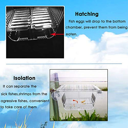 capetsma Fish Breeding Box, Acrylic Fish Isolation Box with Suction Cups, Aquarium Acclimation Hatchery Incubator for Baby Fishes Shrimp Clownfish and Guppy... Small Size (S) - size: S