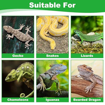 kathson Reptile Carpet, Natural Moss Mat for Terrarium, Bearded Dragon Tank Flooring Green Substrate Liner for Leopard Gecko Hermit Crab Lizard Tortoise (39.37" X 11.81")