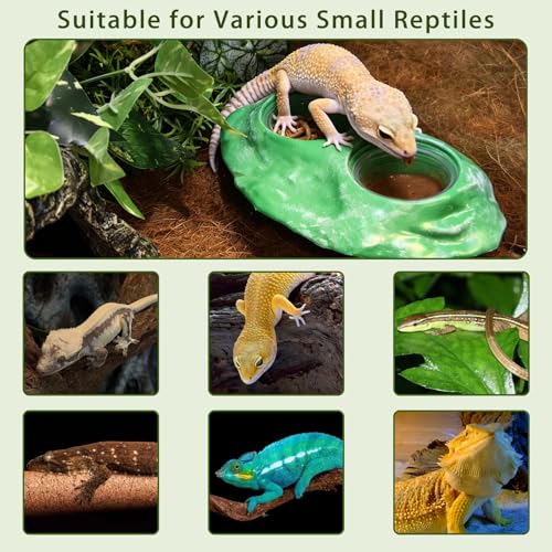 Tfwadmx Magnetic Reptile Feeder Ledge, Gecko Feeder Ledge with 4 Cups Reptile Feeding Bowl Terrarium Accessories for Geckos Lizards Chameleons Frog (Green) - color: Green