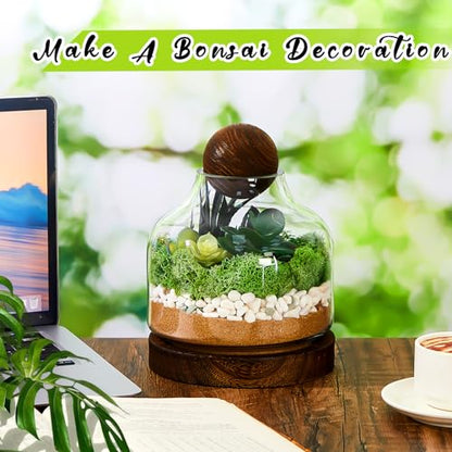 2 Pcs Glass Terrarium Container with Wooden Base and Decorative Ball Lid, 7 Inch DIY Terrarium Jar for Moss, Ferns, Air Plants and Succulents, Mini Indoor Garden Vase for Home Office Desk Decor