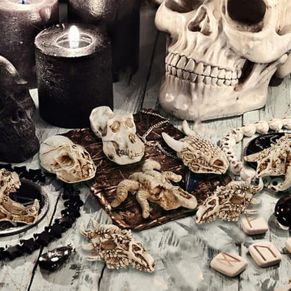 Bbiamsleep 8 Pcs 2.3 Inch Animal Skulls Figurine Resin Mini Skulls Dinosaur Alien Animal Skulls Decor Ornament Mini Skull Heads for DIY Projects Halloween Christmas Decoration