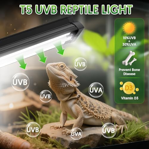 QZQ T5 UVB Reptile Light Fixture Combo Kit 8W, 10.0 UVB Light for Reptiles, Terrarium Hood Comes with Desert UVB Lamp for Bearded Dragon, Gecko, Tortoise, Lizard - size: 8W-12.4IN