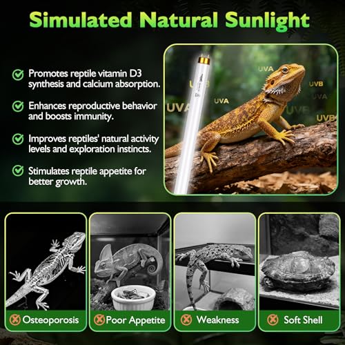 UVB Light for Reptiles Bearded Dragon, 3 Pack T8 UVB Reptile Light UVB Bulb 10.0 15W UVA UVB Reptile Light Bulb Terrarium Light Lamp Tube for Turtle Chameleon Leopard Gecko Snake Tank, 18 Inch - size: T8-18 Inch(3 Pack)