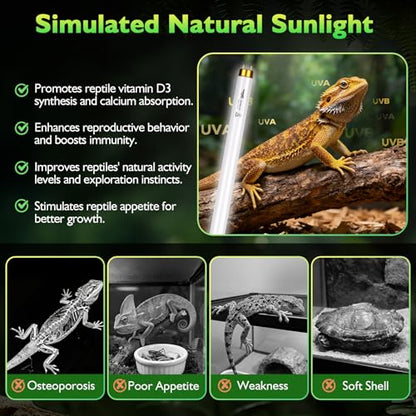 UVB Light for Reptiles Bearded Dragon, 3 Pack T8 UVB Reptile Light UVB Bulb 10.0 15W UVA UVB Reptile Light Bulb Terrarium Light Lamp Tube for Turtle Chameleon Leopard Gecko Snake Tank, 18 Inch - size: T8-18 Inch(3 Pack)