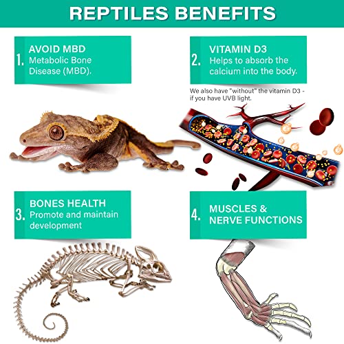 Gargeer 4oz All Reptile Calcium with Vitamin D3, Phosphorus-Free, Ultrafine Powder. Pure dust, Real Fruits Blend Flavored Ready to Use Supplement, for Lizards & Amphibians. Made in the USA. Enjoy !