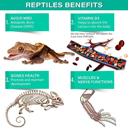 Gargeer 4oz All Reptile Calcium with Vitamin D3, Phosphorus-Free, Ultrafine Powder. Pure dust, Real Fruits Blend Flavored Ready to Use Supplement, for Lizards & Amphibians. Made in the USA. Enjoy !